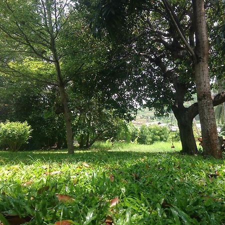 Cashew Nut Village ボプート エクステリア 写真