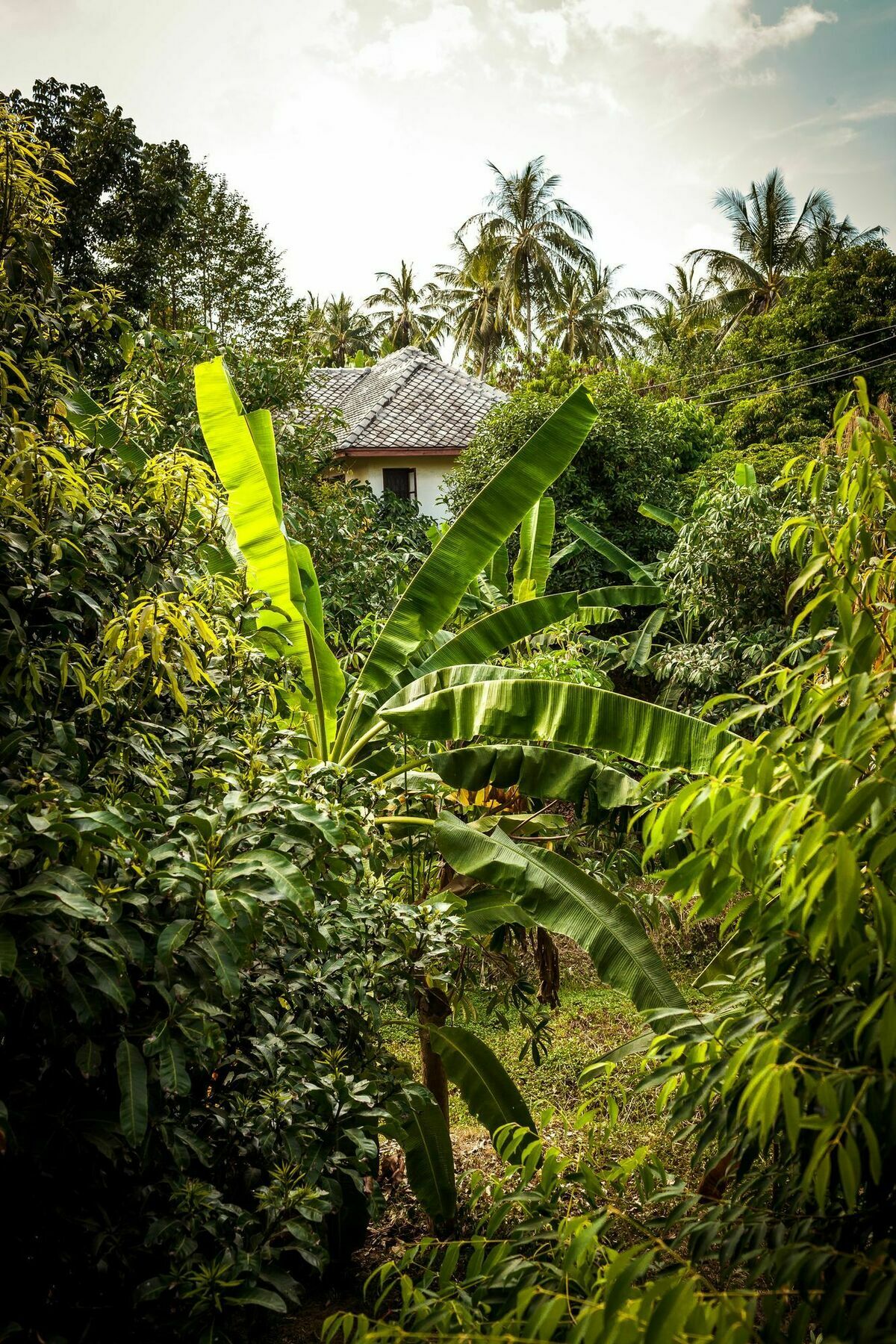 Cashew Nut Village ボプート エクステリア 写真